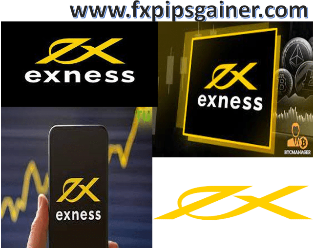 Exploring Exness Trading Instruments for Optimal Trading Success